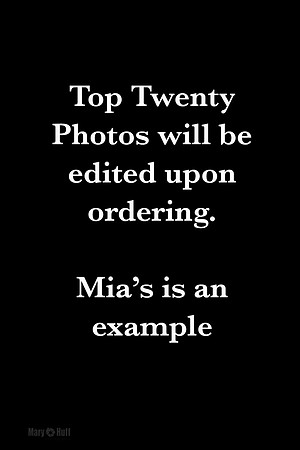 AE4I4185-Edit