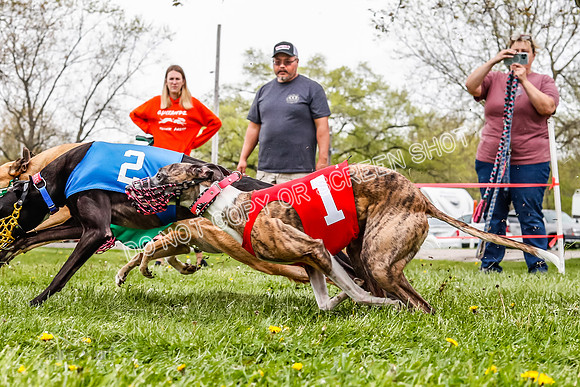 WRA, Prg 3, Race 6, Warrior Beacon Picanha Smudge Entei-9190