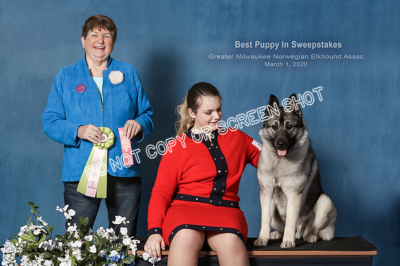 Elkhound 2020-1156-Edit-4x6
