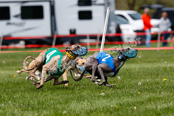 NOTRA Program 3, Race 7, Sparks Jubilee Tahoe Mika-2-14