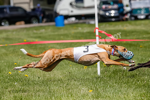 NOTRA Program 3, Race 4, Maybe Power Flora Clyps-2-7