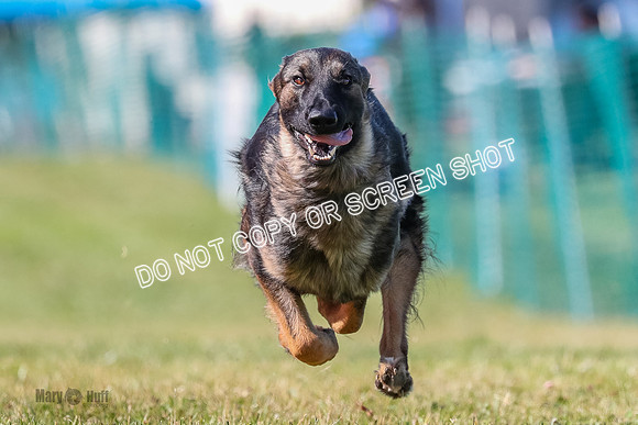 AE4I5292