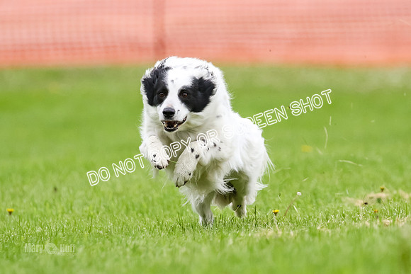 MCH78394