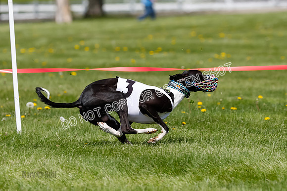 NOTRA Program 3, Race 7, Sparks Jubilee Tahoe Mika-2-20
