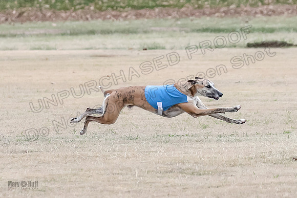 1Prelim Open 2 Shine Maverick Steel-2986