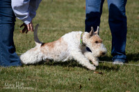 IMG_9871