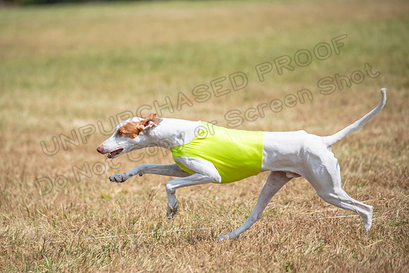 Finals Specials A3 Beastie Faline-1401