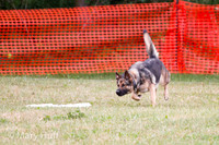 IMG_0085