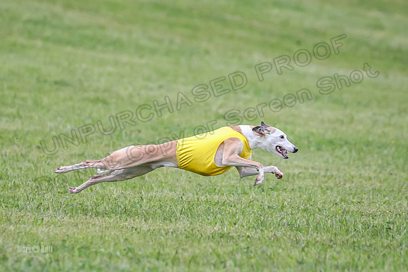 Prelim Open E5, Scorch Cobalt Kiwi-9167