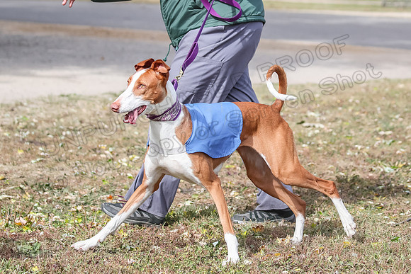 Finals Fch 1 Beastie Jadis Ginny-7949