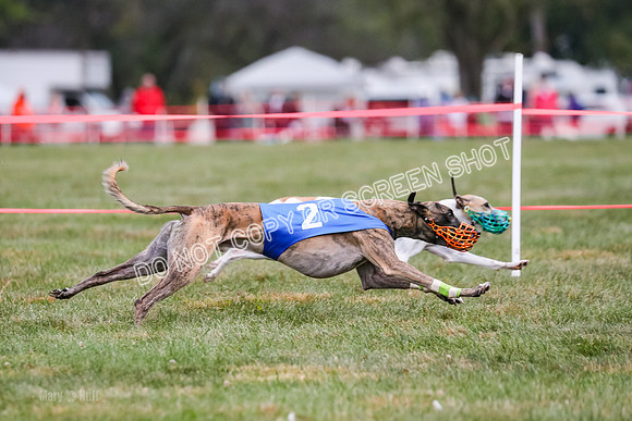 Prg 1, race 11, Jamie Maxx Tahoe Ryka-0845