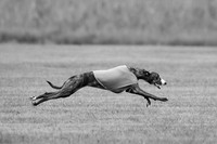 Prelims Lena-0759-2