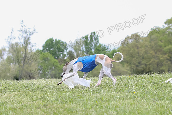 Finals Open C2, Tessa Squiggle Shimmy-0697