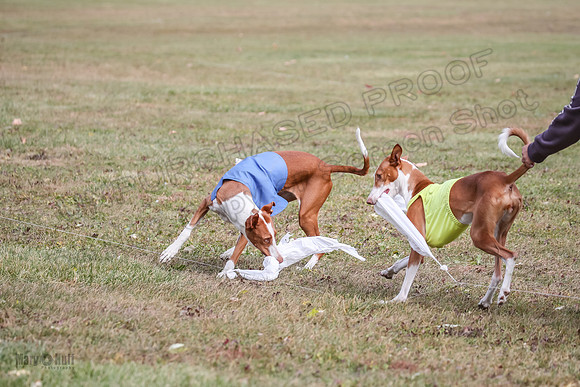 Finals Fch 1 Beastie Jadis Ginny-7920