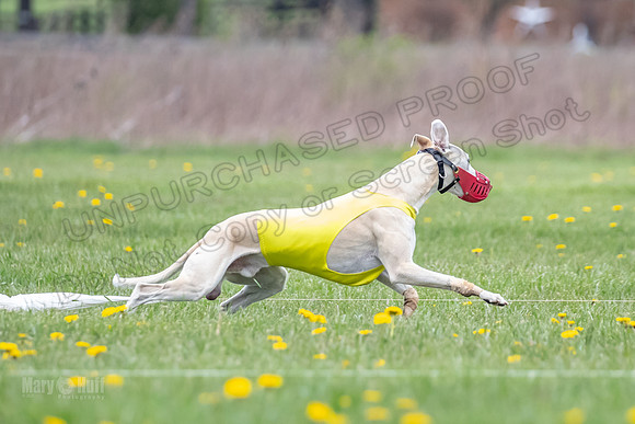 Finals Fch A2 Zinger Rush-9178