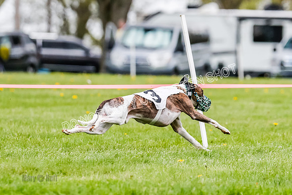 NOTRA Program 2, Race 4, Rum Moki Clyps-2-12