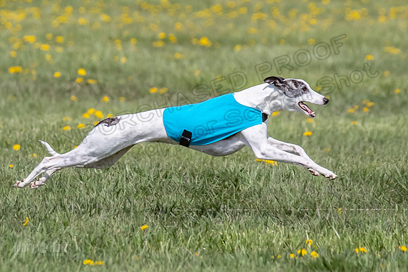 1Prelims Specials B6 Mantle PeteySue Echo-1592
