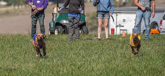 2 Finals Open 1 Rein Pepper Ash-7378