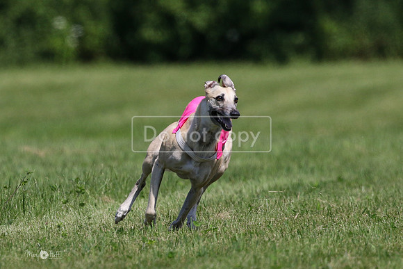MCH71643