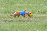 1 Prelims Open 1, LA Twister Greta-8184