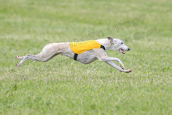 Prelim Veterans 3, Hattie Marley Jewel-0163