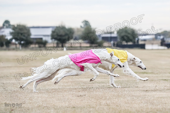 1Prelim Open 1 Marcasite Lightening-2307