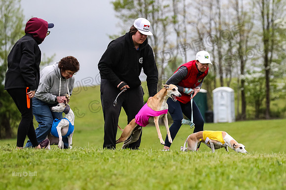 Prelims Open D1, Aubrey Player Mizuno-4298