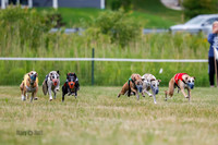 Prg 2, Race 4, Marty, Bogie, Denim, Meatloaf, Blaze, Raz-0981