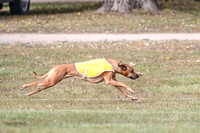 1 prelims Fch 2 Remmy Opal Oslay-6256