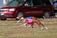 1 Prelims Fch 2 Jadis Beastie Ginny-0760