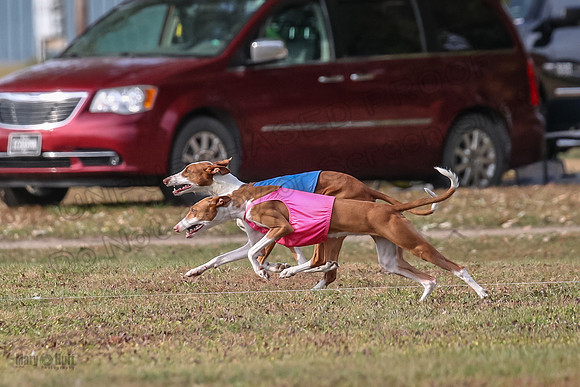 1 Prelims Fch 2 Jadis Beastie Ginny-0760