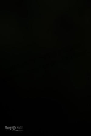 AE4I6272