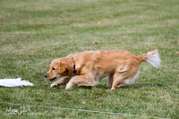 IMG_0825