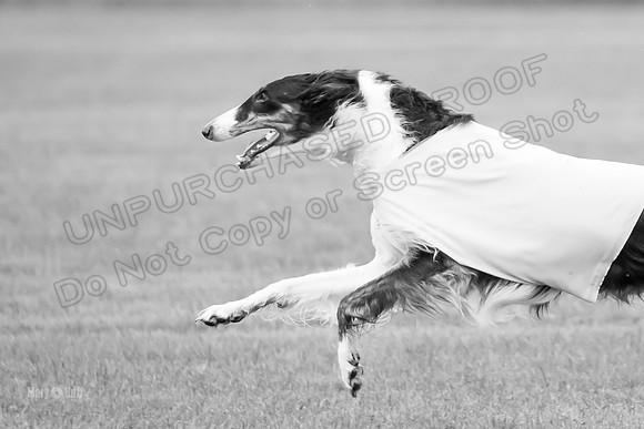 Open Prelim 2, Masquerade Freebie-0546-2