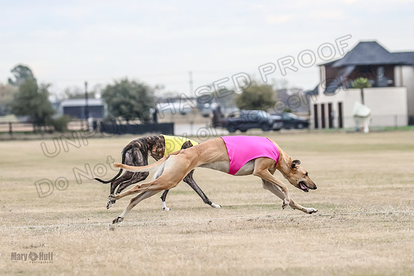 1Prelim Spec 1 Terra Bonnie-2602