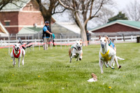 WRA, Prg 2, Race 2, Dash, Elvis Moonstruck Buzzsaw Mika Reas-8570