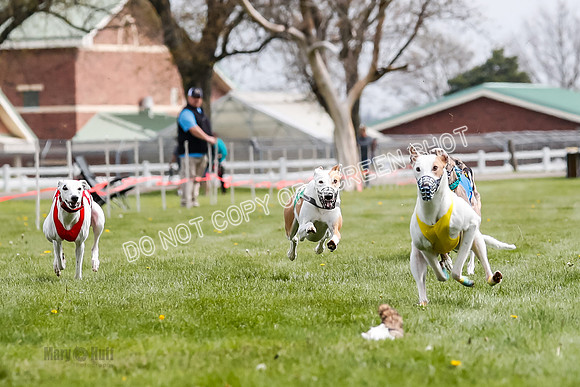 WRA, Prg 2, Race 2, Dash, Elvis Moonstruck Buzzsaw Mika Reas-8570