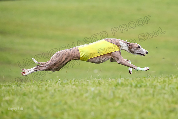 Prelim Open E4, Sassy Sneakers-5043