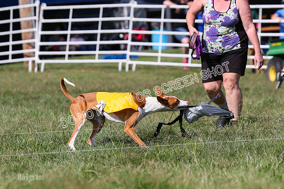 Open Prelim A2, Madyson, Razz-7654
