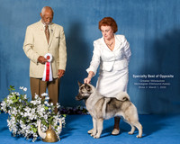 Elkhound 2020-1204-Edit