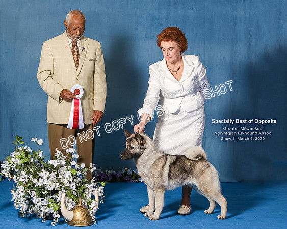 Elkhound 2020-1204-Edit