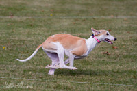 IMG_0329