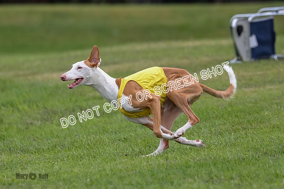 AE4I3759