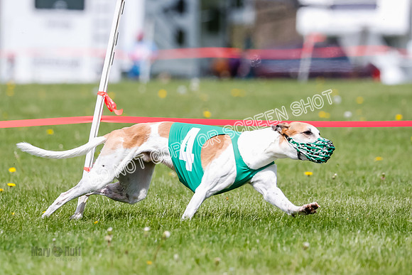 NOTRA Program 2, Race 6, Cinder Stormy Gibbs Shakespeare-2-6