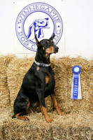 Asti