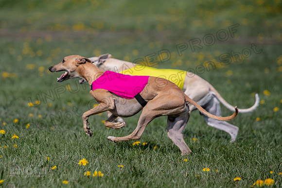 1Prelims Specials B2 Zinger Rush-1441