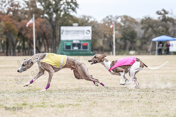 Finals Open 4 Rigel Trixie-4099