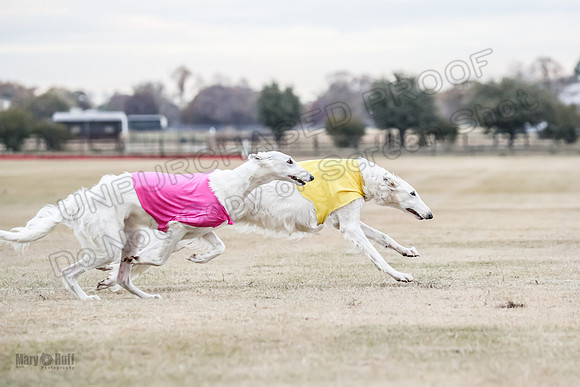 1Prelim Open 1 Marcasite Lightening-2302