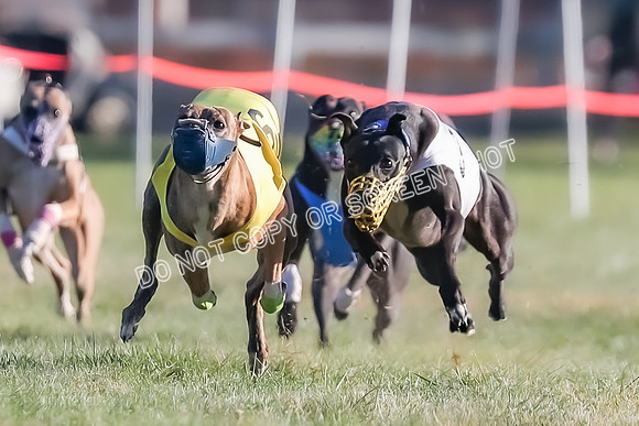 Prg 1, Race 14, Grim Zivah Beacon Cherry Pie Siggy Riggs-9210