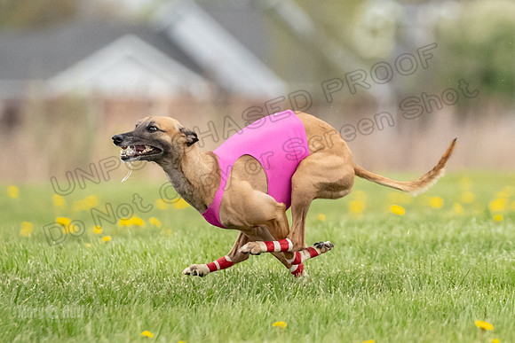 Finals Fch A1 Whisper Treble JesseJames-9039